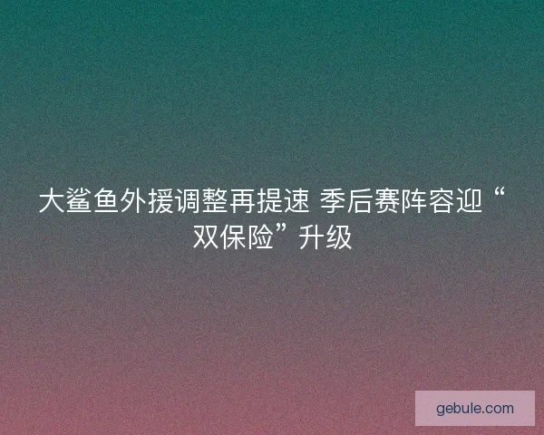 大鲨鱼外援调整再提速 季后赛阵容迎 “双保险” 升级